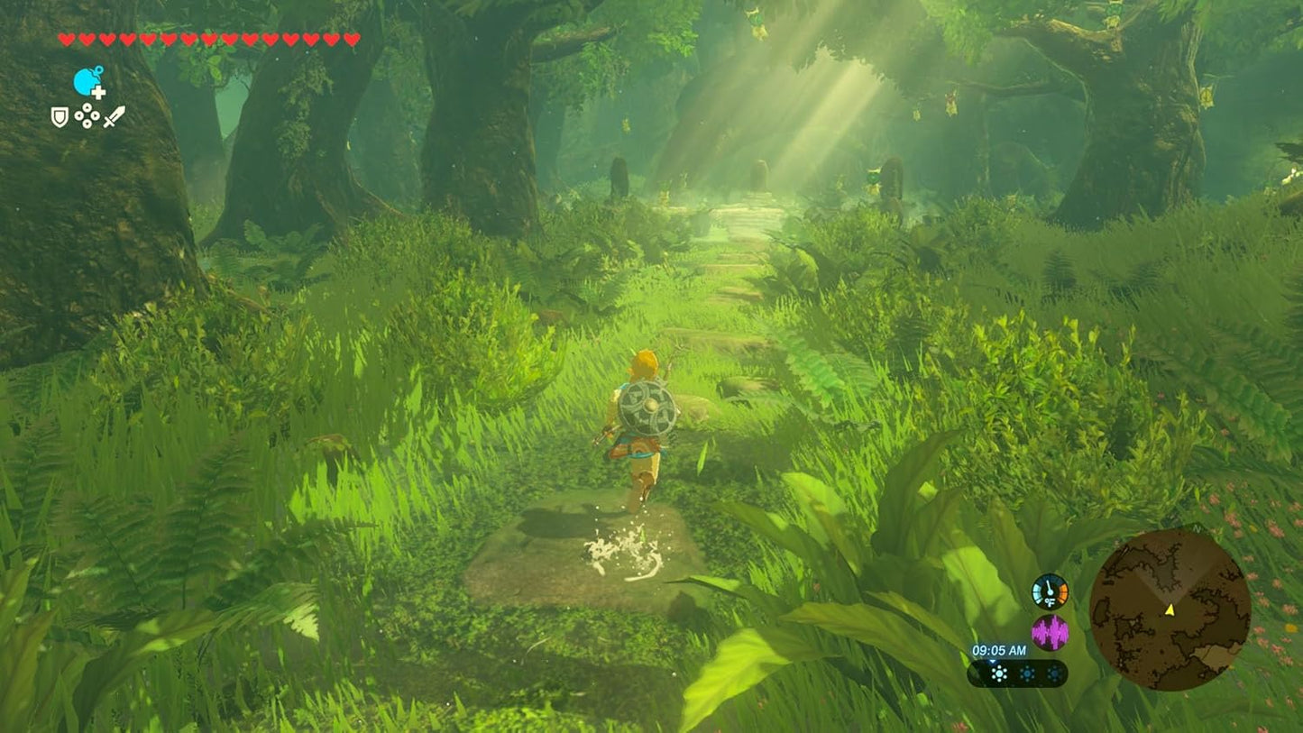 Zelda Breath of the Wild - Nintendo Switch 2 Edition
